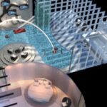 room pary love imvu black market