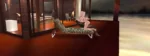 room dreams black market imvu rooms 2
